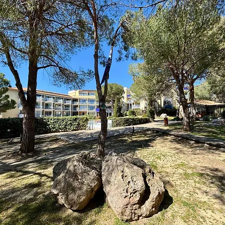 Le Des Pins, Terrasse & Piscine En Pinede