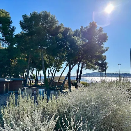 Le Des Pins, Terrasse & Piscine En Pinede