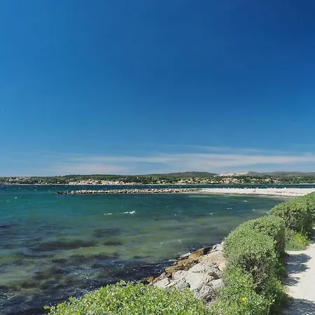 別荘 Le Des Pins, Terrasse & Piscine En Pinede バラルック・レ・バン