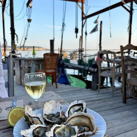 Le Des Pins, Terrasse & Piscine En Pinede 別荘 *